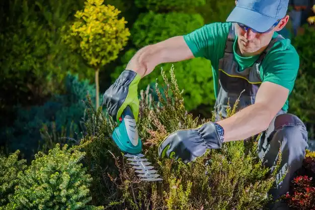 landscaping services Algonac